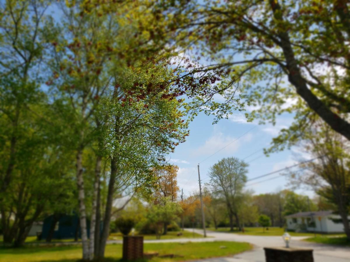 Wildwood Shelburne
